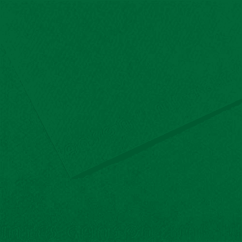 FABRIANO Feuille dessin couleur 50 x 65 cm Tiziano 160g Vert foncé