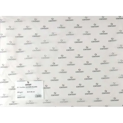 CANSON Feuille de papier buvard 250g 50x65cm Blanc Ref-91123