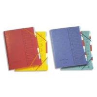 EMEY Trieur en carte forte 4.3/10e 12 compartiments coloris assortis