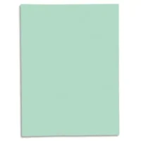 EXACOMPTA Paquet de 50 chemises 1 rabat SUPER 250 en carte 210 grammes Vert