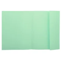 EXACOMPTA Paquet 100 chemises 1 rabat carte 160g SUPER 180. Coloris Vert clair