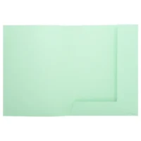 EXACOMPTA Paquet 50 chemises 2 rabats carte 210g SUPER 250. Coloris Vert clair