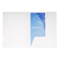 EXACOMPTA Boîte 20 chemises 2 rabats carte 250g CHROMOLUX. Coloris Blanc aspect brillant