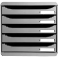 EXACOMPTA Module de classement Big Box Plus 5 tiroirs Gris lumière 34,7x27,8x27,1 cm