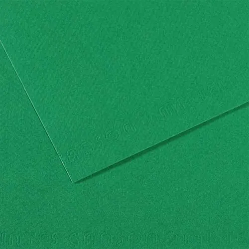 CANSON Feuille MI-TEINTES® 50X65 160g vert billard 575