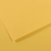 CANSON Feuille MI-TEINTES® 50X65 160g bouton d'or 400