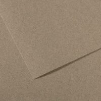 CANSON Feuille MI-TEINTES® 50X65 160g gris chiné 431