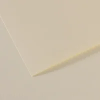 CANSON Feuille MI-TEINTES® 50X65 160g lys 110