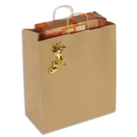 Paquet de 100 Sacs kraft brun 110g à poignée torsadées, Ouverture 40 x Hauteur 45,75 x Soufflet 19 cm