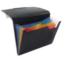 VIQUEL Trieur ménager RAINBOW en polypropylène 7/10. 6 compartiments. Noir intérieur couleur