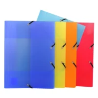EXACOMPTA Chemise 3 rabats élastique PP 8/10ème LINICOLOR A4 assortis