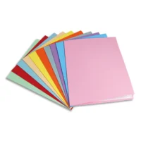 PERGAMY Paquet de 100 chemises carte 170 grammes coloris Assortis