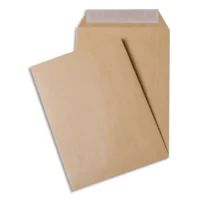 GPV Paquet de 10 pochettes kraft armé 130g C4 simple 38021