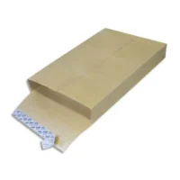 GPV Boîte de 250 pochettes kraft armé 3 soufflets 26 275x365