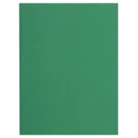 EXACOMPTA Paquet de 100 chemises FLASH 220 gr coloris Vert foncé, 100% recyclé