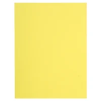 EXACOMPTA Paquet de 100 chemises FLASH 220 gr coloris Jaune canari, 100% recyclé
