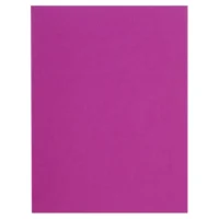 EXACOMPTA Paquet de 100 chemises FLASH 220 gr coloris Fuchsia, 100% recyclé