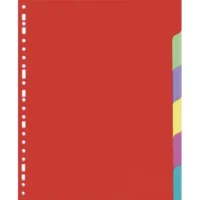 Jeu d'intercalaires 6 positions en carte lustrée supérieure 225g, 3/10e. Format A4.